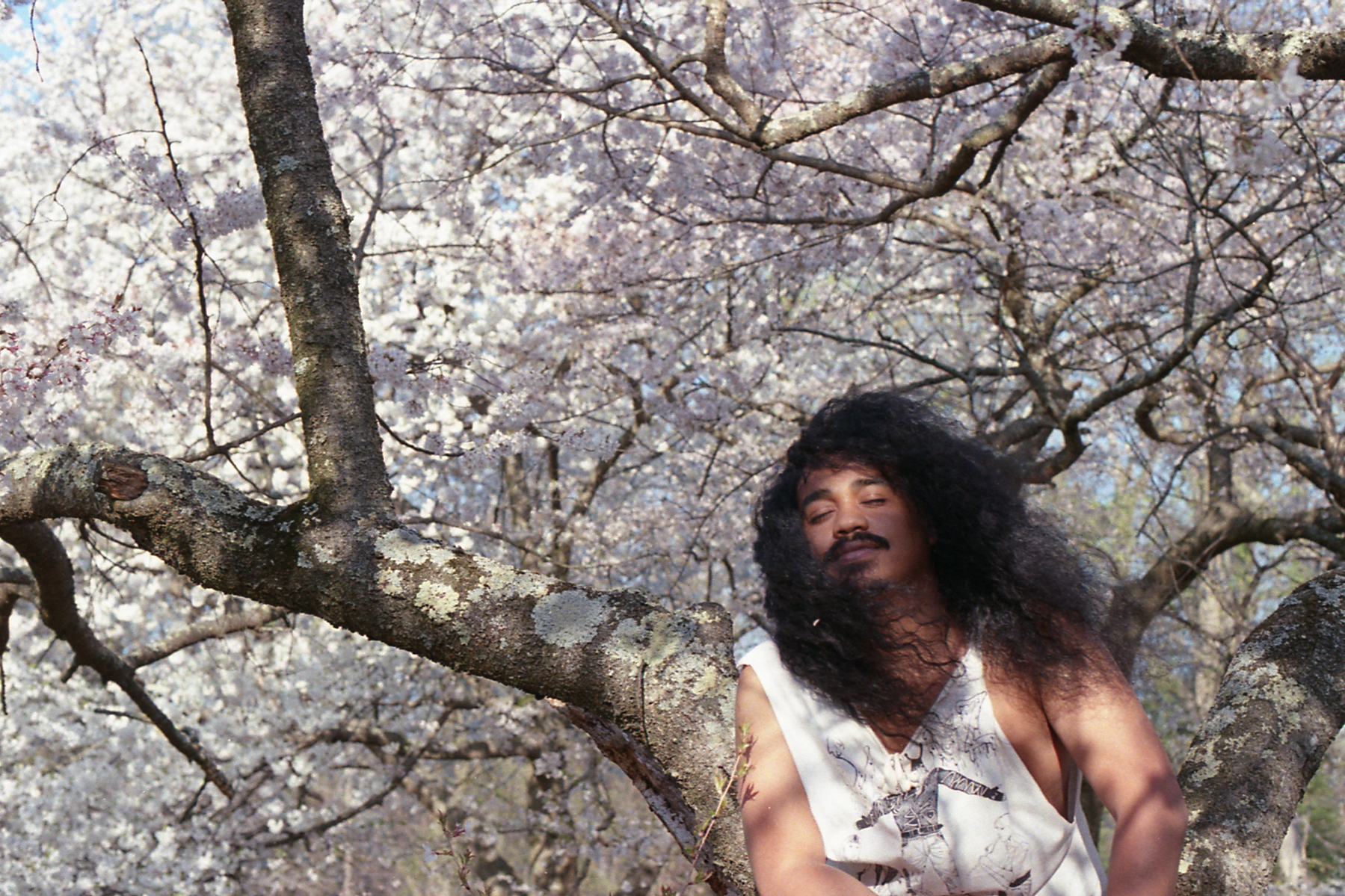 Tariq Ravelomanana (a.k.a. Infinity Knives) outside sitting on the branch of a tree.